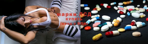МДПВ Каменка