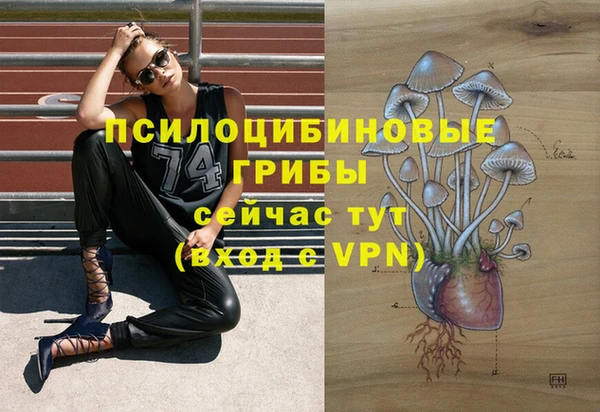 сатива Алексеевка