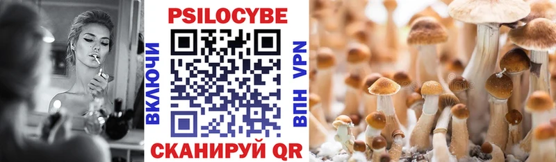 Галлюциногенные грибы Cubensis  KRAKEN рабочий сайт  Вилючинск 
